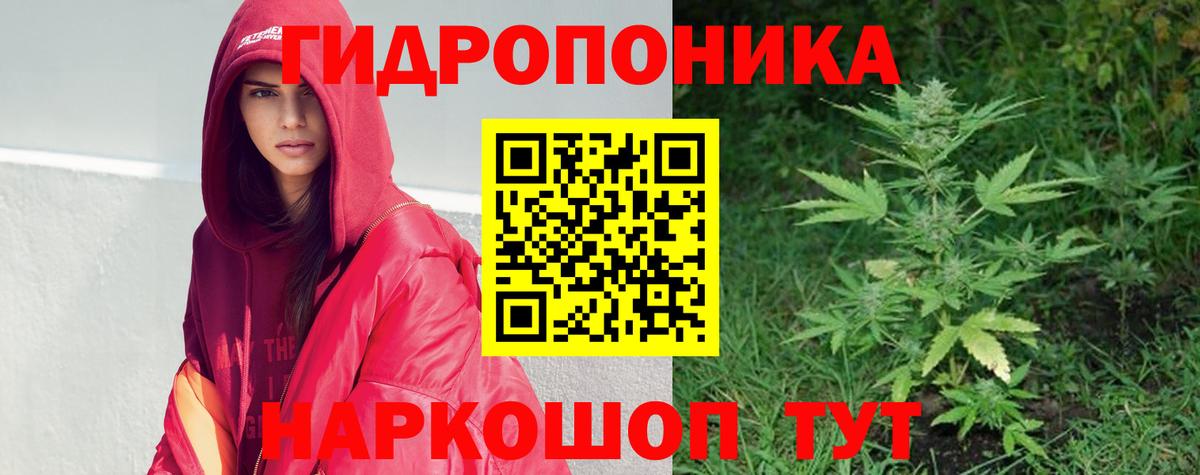 Канабис план Зима